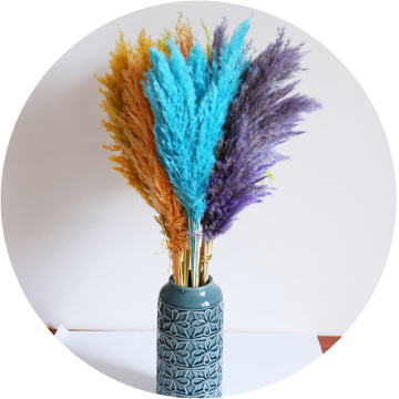 Wholesale Natural Dried Flower Custom Packaging for Decorative Wedding and Home Use