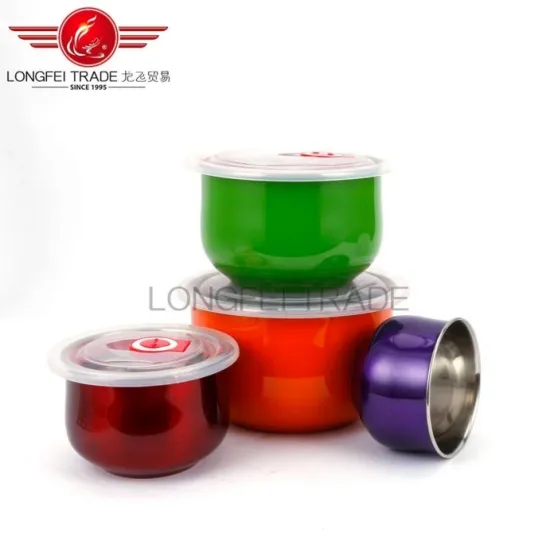 Eco-Friendly Colored Stainless Steel Salad Bowl with Plastic Lid