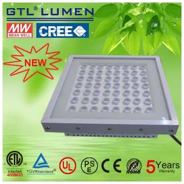 fueling station LED canopy light MWdriver ETL certification