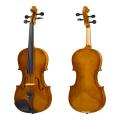 Violino R20 a buon mercato e qualità