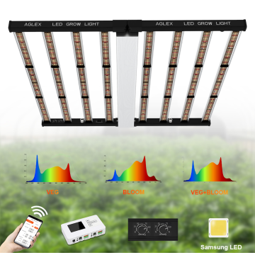 Nguồn cung cấp vườn bán buôn 1000W Grow Light Spectrum