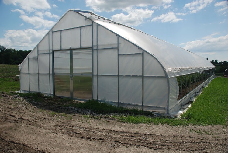 Tunnel Plastic /PE Flim Greenhouse For Vegetables