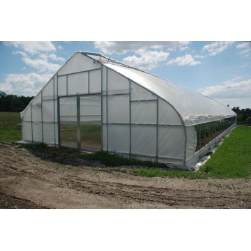 Tunnel Plastic /PE Flim Greenhouse For Vegetables