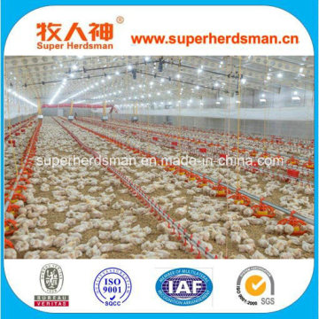 Automatic Poultry Equipment for Broiler Chicken Production