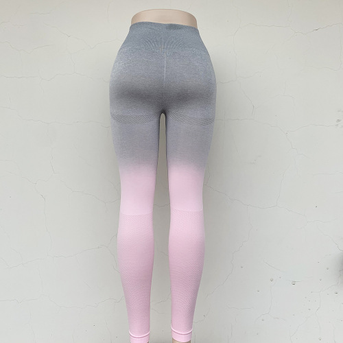 Leggings de ioga adaptam Ombre Seamless