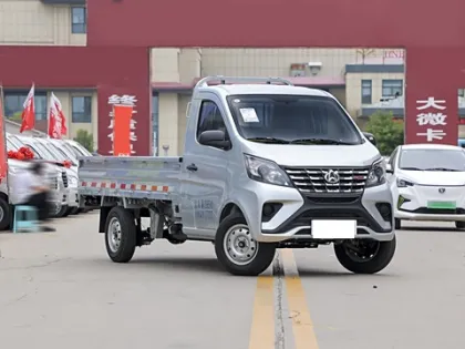 2024 Model: Changan Kaicheng Shenqi T30 CNG Double Row Truck - Comfortable Mini Truck for Sale