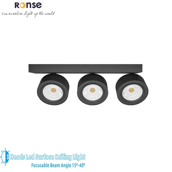 RONSE Leader Factory Direct Supply 30W LED Ceiling Down Light