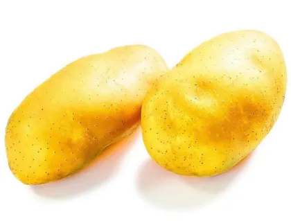 Fresh Potatoes For Export