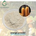 Апельсиновый порошок Натуральный порошок цитрусовых, высушенный распылением