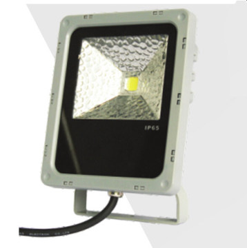 Professional Exporter of LED Flood Light