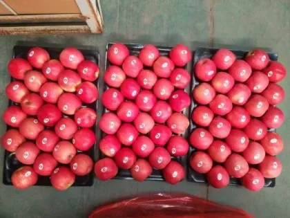 Hot sale Pink Lady Sweet Apples