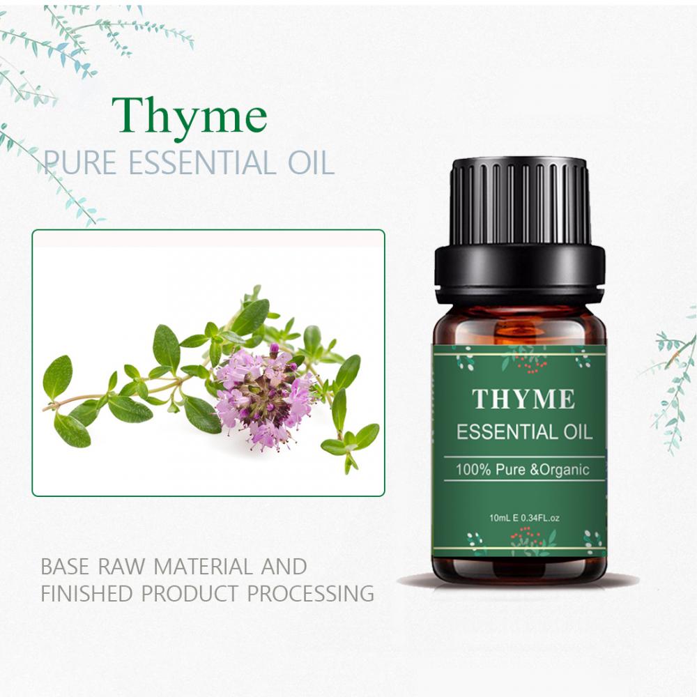 OEM Thyme Wholesale Essential Oils For Soap Making