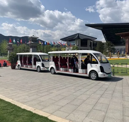 High-end Luxurious Wuling V100 Series Mini Electric Sightseeing Cars