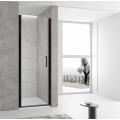 pivot shower door with 2 door panels