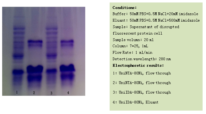 Affinity Chromatography Definition Affinity Chromatography Definition