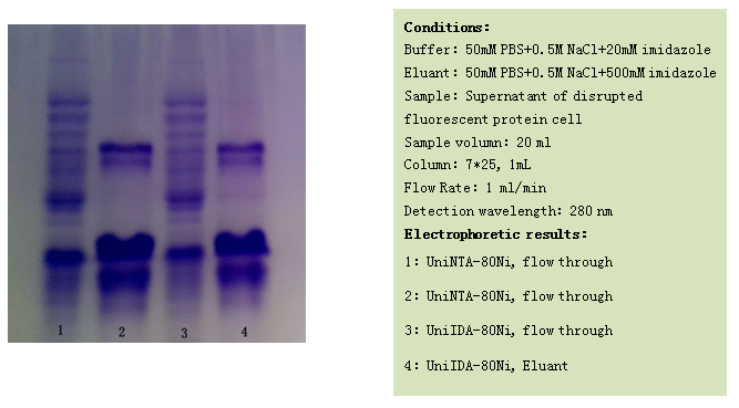 Affinity Chromatography Definition