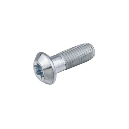 DIN Standard S12*30 Self-Tapping Screw with Trox Socket