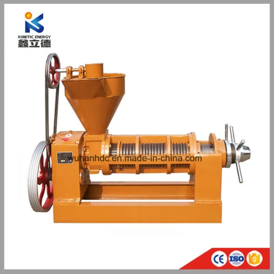 Automatic Oil Presser Small Cold Press Almond Algae Coconut Oil Extraction Machine