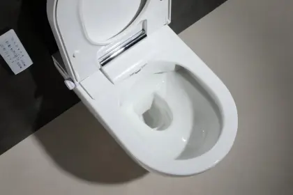 Floor mounted new style electronic intelligent toilet