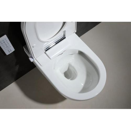 Floor mounted new style electronic intelligent toilet