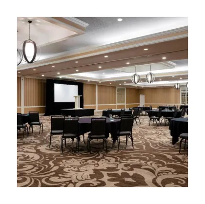 Spectatory and Auditorium Carpet Business: Specialized Area Carpets