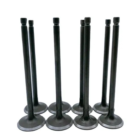 Nissan TB48DE Y61 Engine Valves - Intake and Exhaust