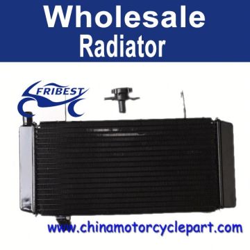 2003-2008 For Suzuki SV1000 Radiator Cooling FRDSU009