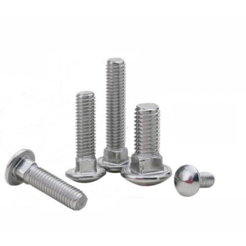 Stainless Steel carriage bolt screw 304 316