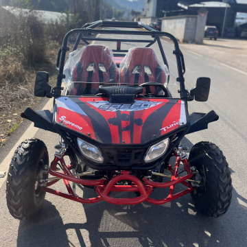 2024 2-Seater 2200W 72V 52AH Electric Buggy with Shaft Drive and Adjustable Seat
