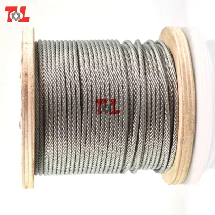 Stainless Steel Wire Rope 10mm