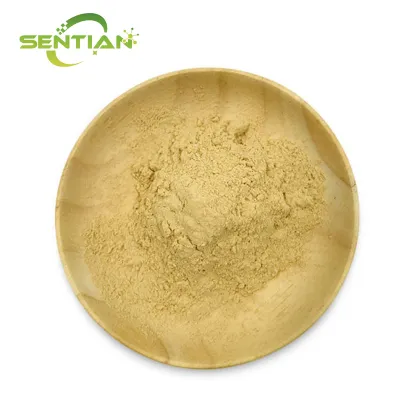 High-Quality Sea Cucumber Extract