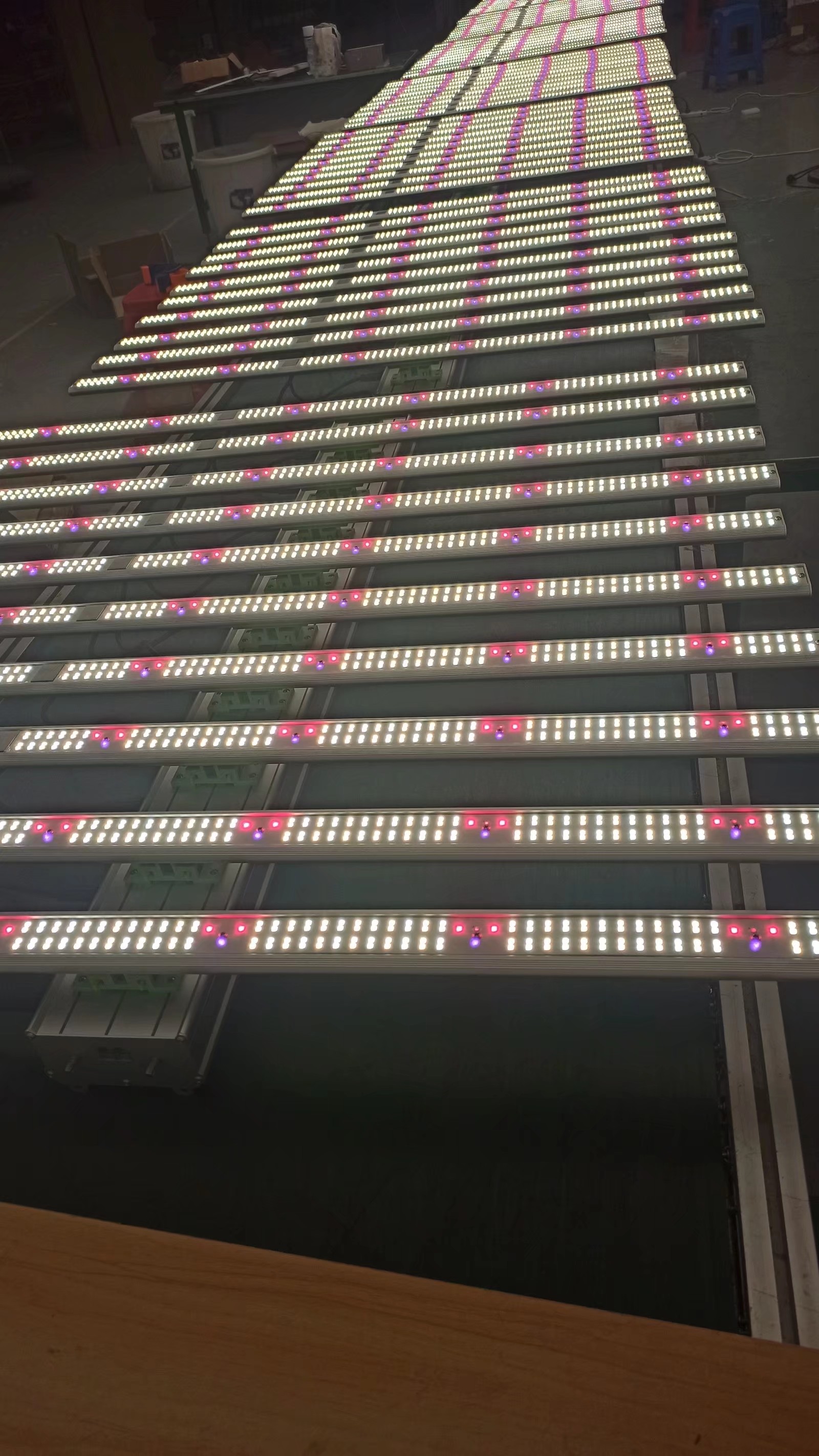 RYGH Tech 1000W LED Grow light 3