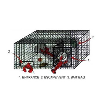 Stainless Steel Lobster Trap Box