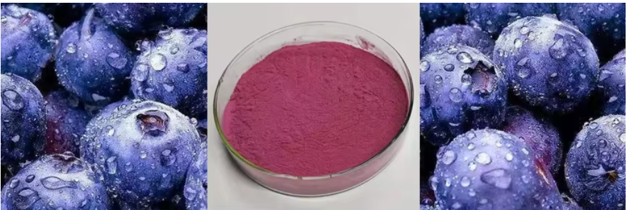 blueberry extract near me