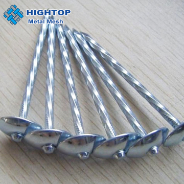 Galvanized Twisted Shank Roofing Nails and Screws for Corrugated Roofing Sheets