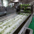 Automatic Blanching Machine For Seafood And Vegetables