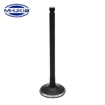 22211-33000 Engine Valves for Hyundai KIA