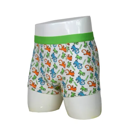 Cheap Price Print Cute Kids Underwear/Kids Designer Underwear