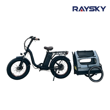 Step-Thru Fat Tire Electric Bike