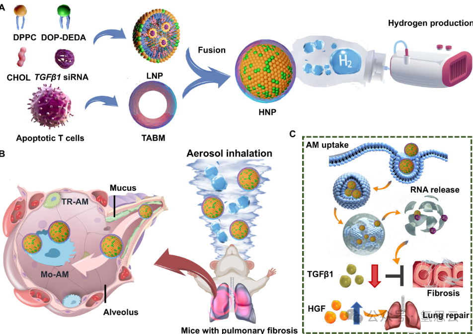 Hydrogen and pulmonary atomization