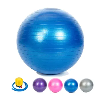 65cm Physio Gymnic Large Therapy Balance Sensory Exercise Balls for Autism Kids: Enhancing Development and Coordination