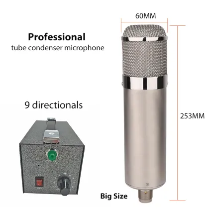 Professional Studio Condenser Tube Microphone - Large 34mm Diaphragm for Metal Recording