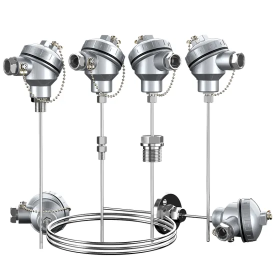 Armored Thermocouple Thermometer with Integrated Temperature Transmitter K-Type PT100 Sensor