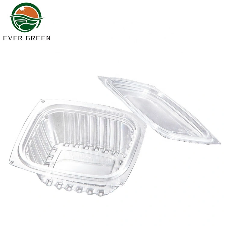 Clear Plastic Salad Bowls with Lids Disposable Takeout Container for Fruit  Salads, Quinoa, Lunch and Meal Prep › Huizhou Shangchen Plastic Products  Co.,Ltd.