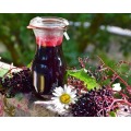 High Quality Black Elderberry Extract Polyphenols 1%