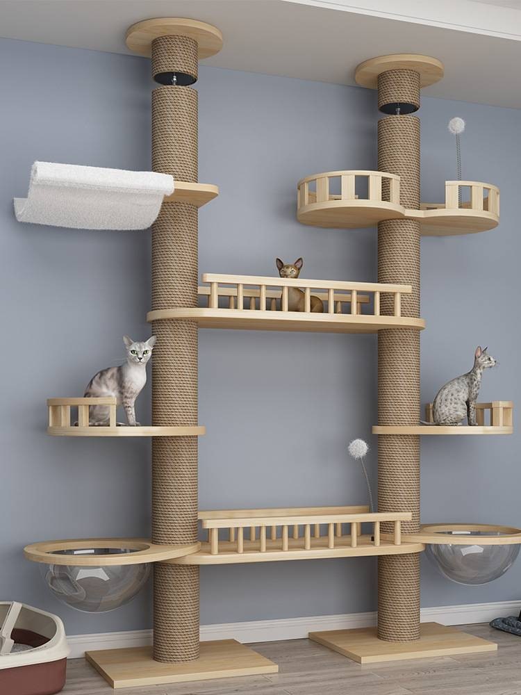 cat tree