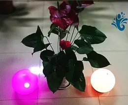 Popular LED Light Ball