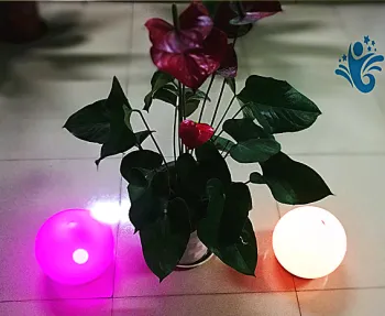 Popular LED Light Ball