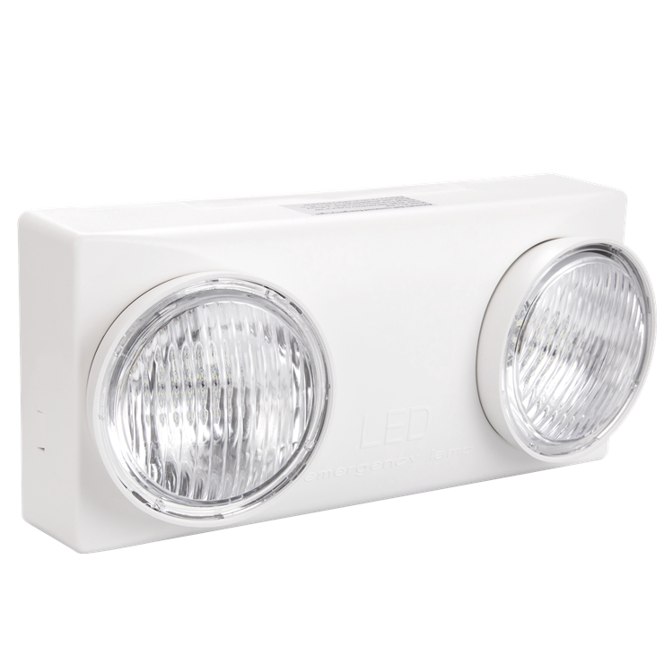 Rotatable dual head emergency light