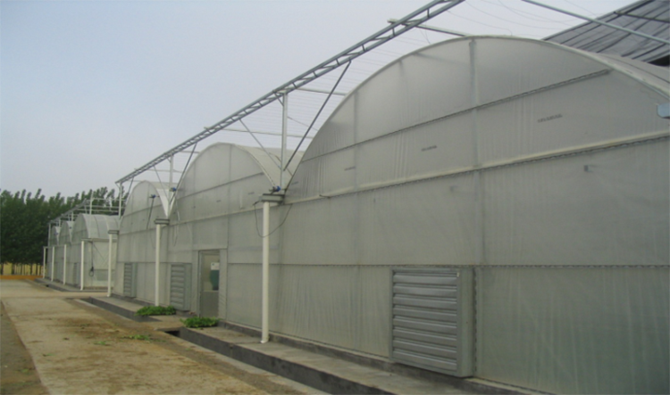 Multi-span cheap agricultural film Tunnel Plastic greenhouse